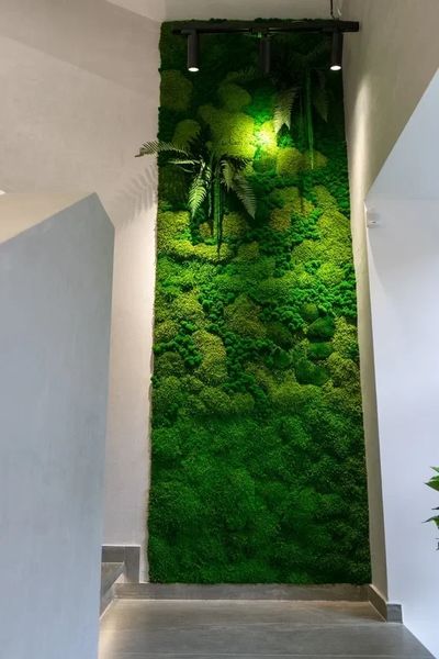 Фото клиники 12