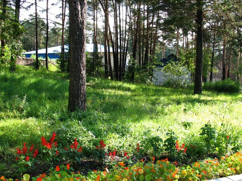 Фото клиники 1