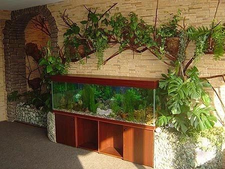 Фото клиники 11