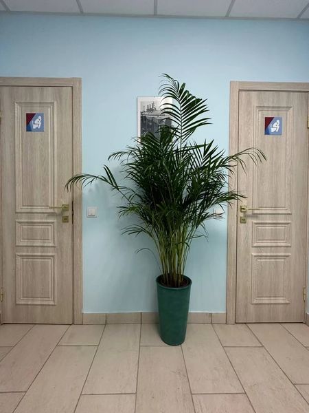 Фото клиники 11