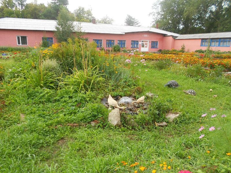 Фото клиники 1