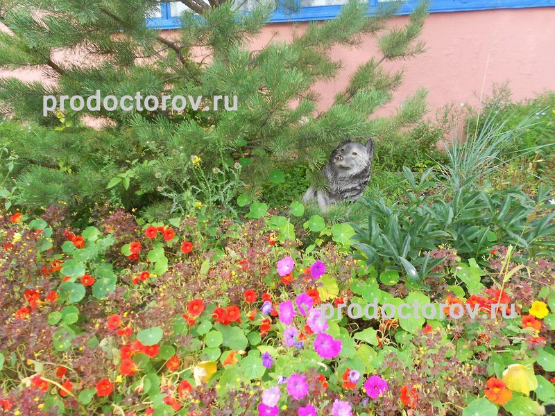 Фото клиники 3