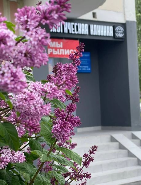 Фото клиники 1