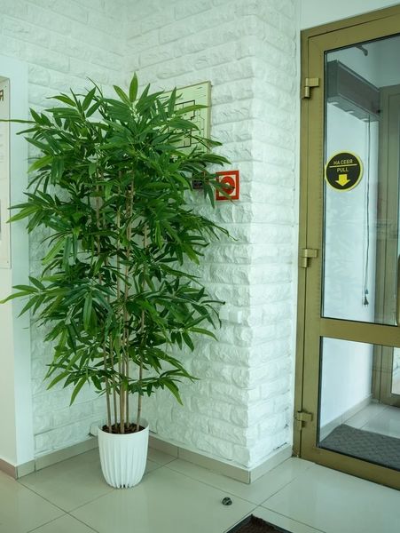 Фото клиники 9