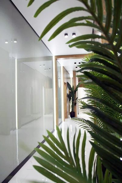 Фото клиники 20