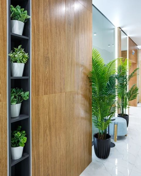 Фото клиники 5